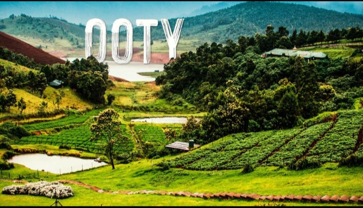 Ooty Budget Family Package